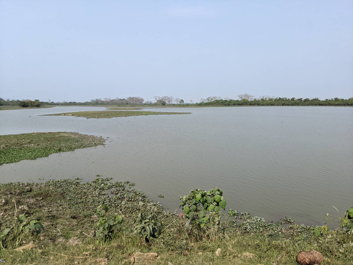 Dighali Beel (Lake) in Kaziranga