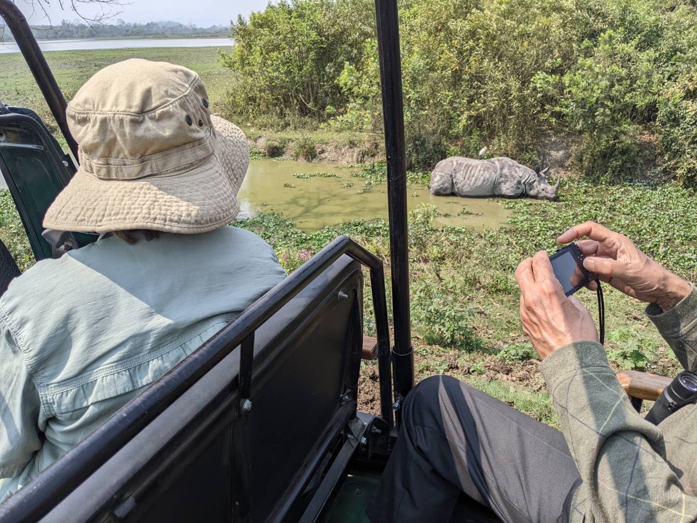 Watching rhinos from the jeep in Kaziranga National Park (Western Range) safari.